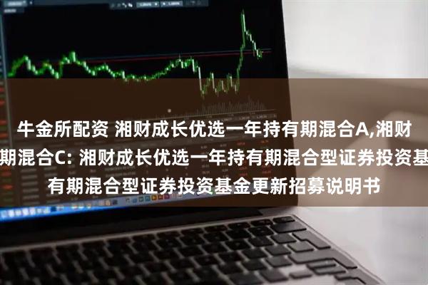 牛金所配资 湘财成长优选一年持有期混合A,湘财成长优选一年持有期混合C: 湘财成长优选一年持有期混合型证券投资基金更新招募说明书