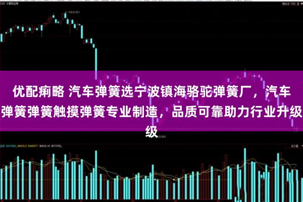 优配痢略 汽车弹簧选宁波镇海骆驼弹簧厂，汽车弹簧弹簧触摸弹簧专业制造，品质可靠助力行业升级