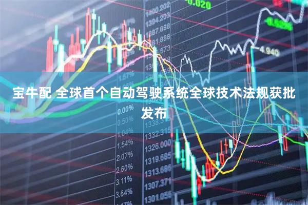 宝牛配 全球首个自动驾驶系统全球技术法规获批发布